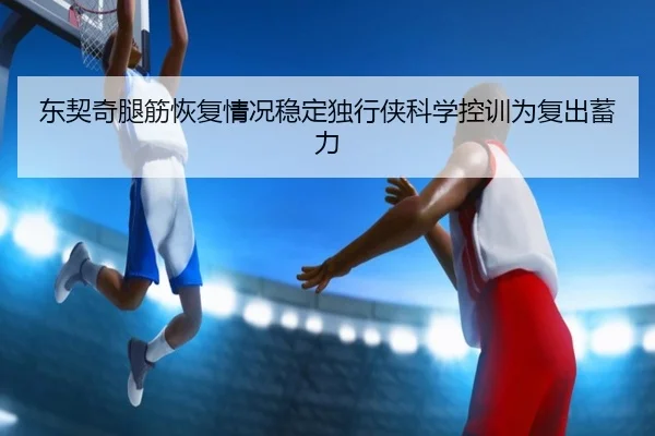 东契奇腿筋恢复情况稳定独行侠科学控训为复出蓄力